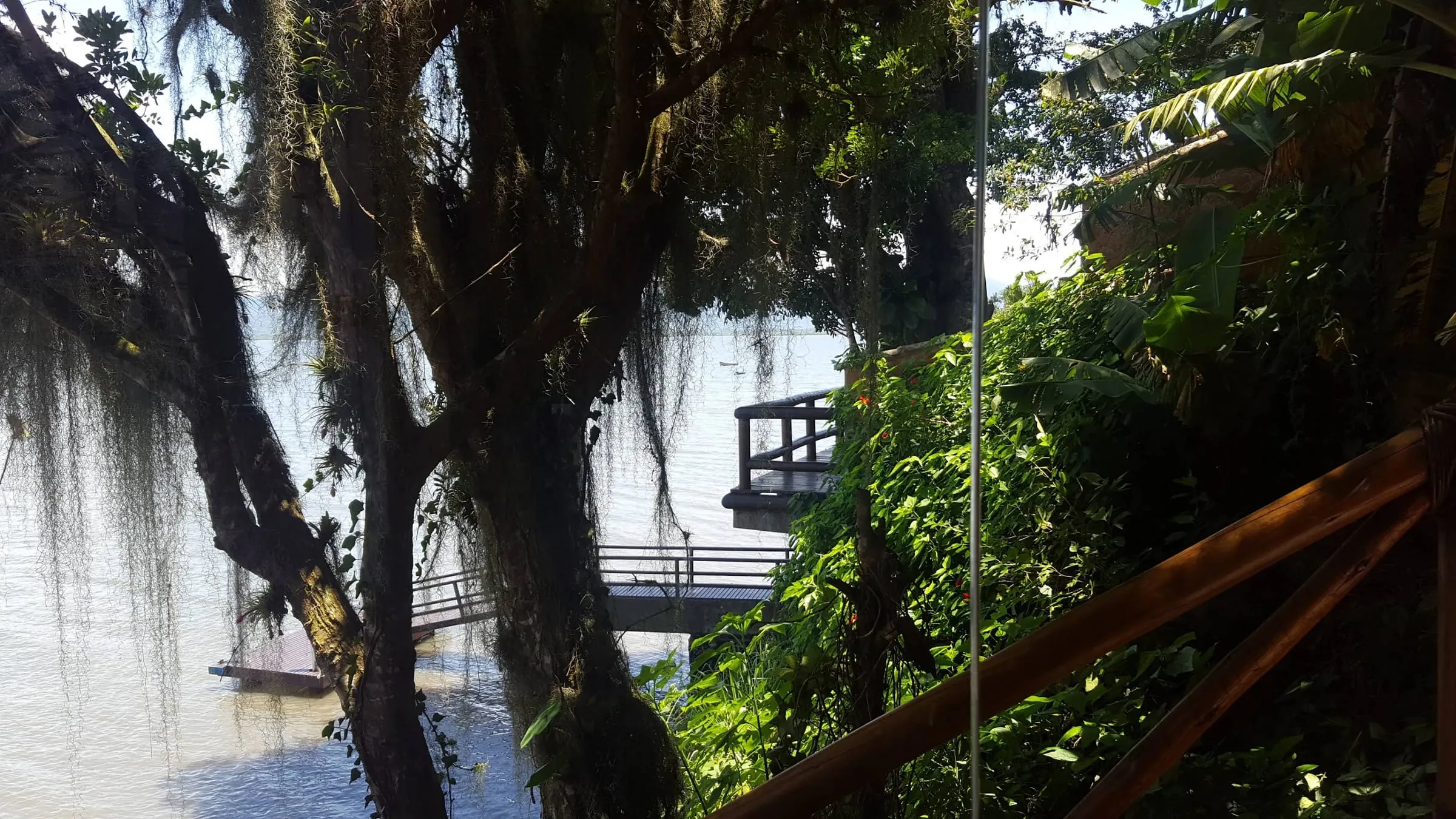 Árvores da mata emoldurando a vista do deck sobre a baía