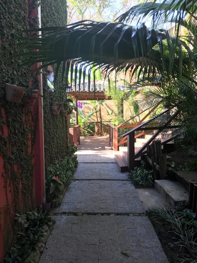 Caminho de pedra no jardim, entre palmeiras