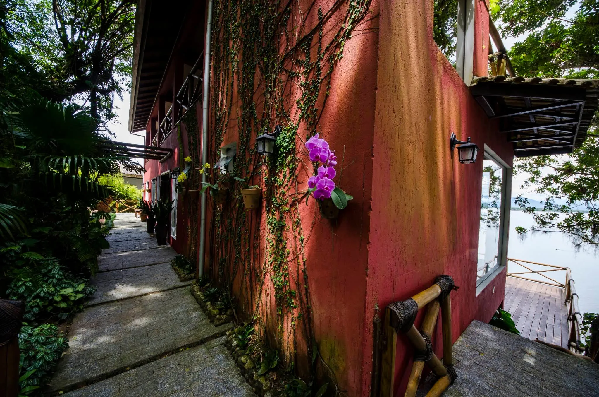 Detalhe da parede vermelha com orquídeas floridas