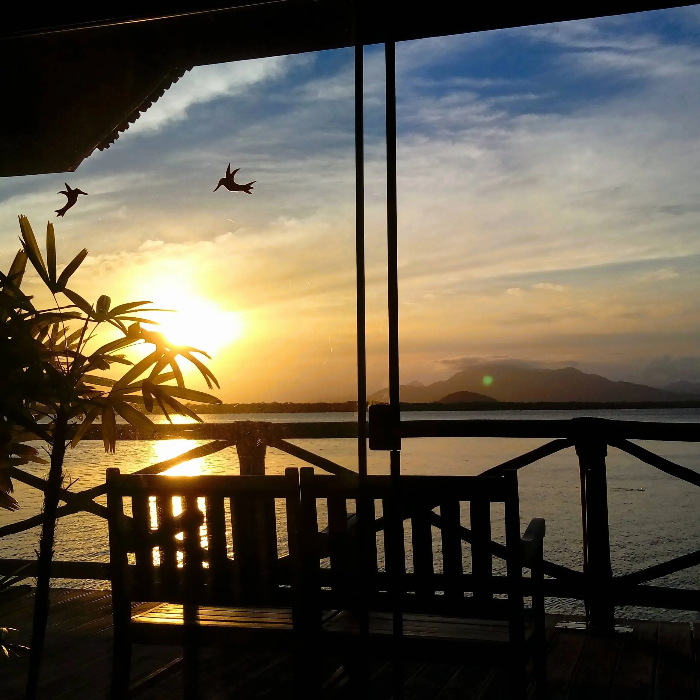Pássaros voando ao pôr do sol, vistos da varanda