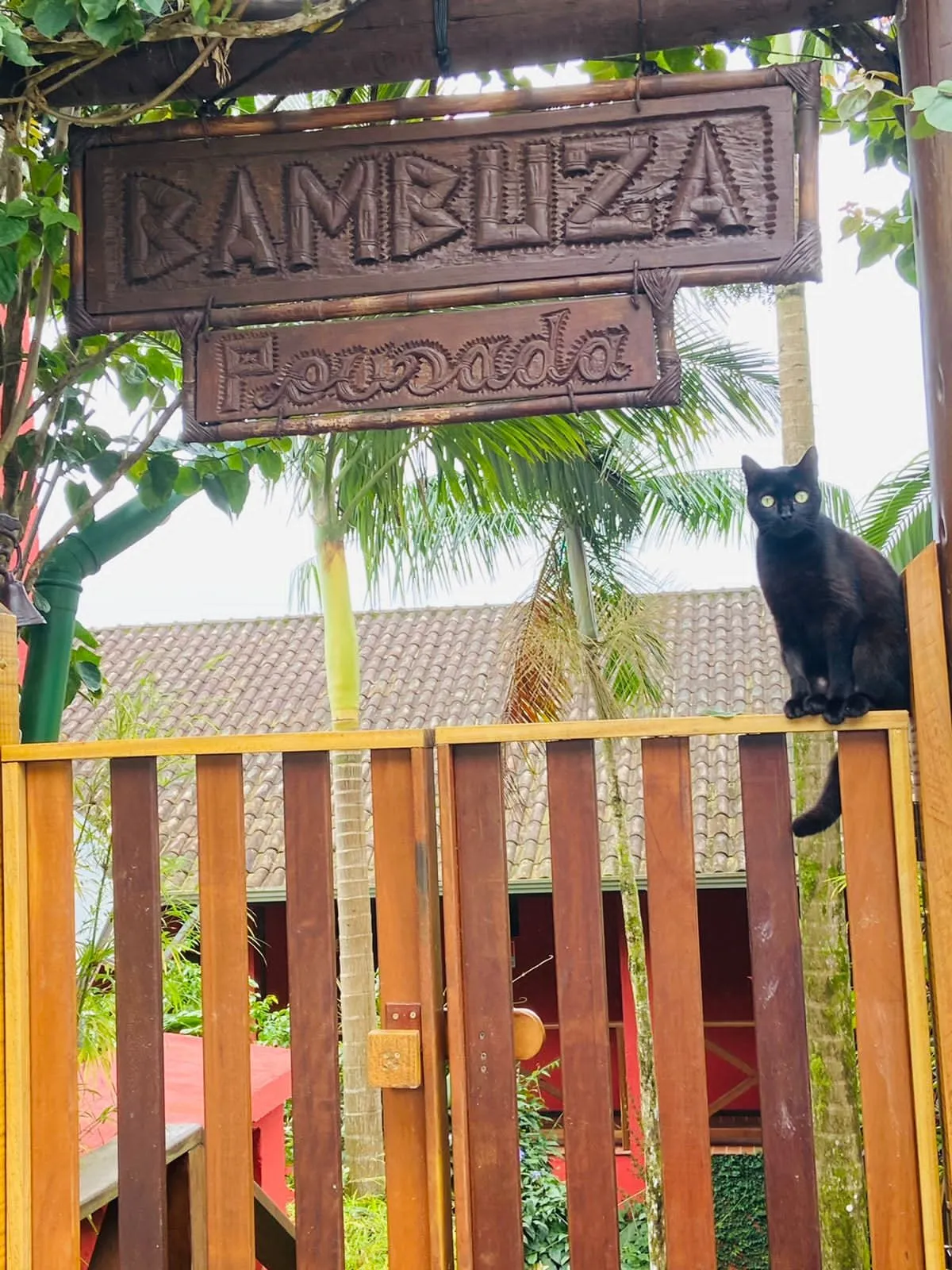 Placa de madeira entalhada com o nome Bambuza Pousada e um gato preto no portão
