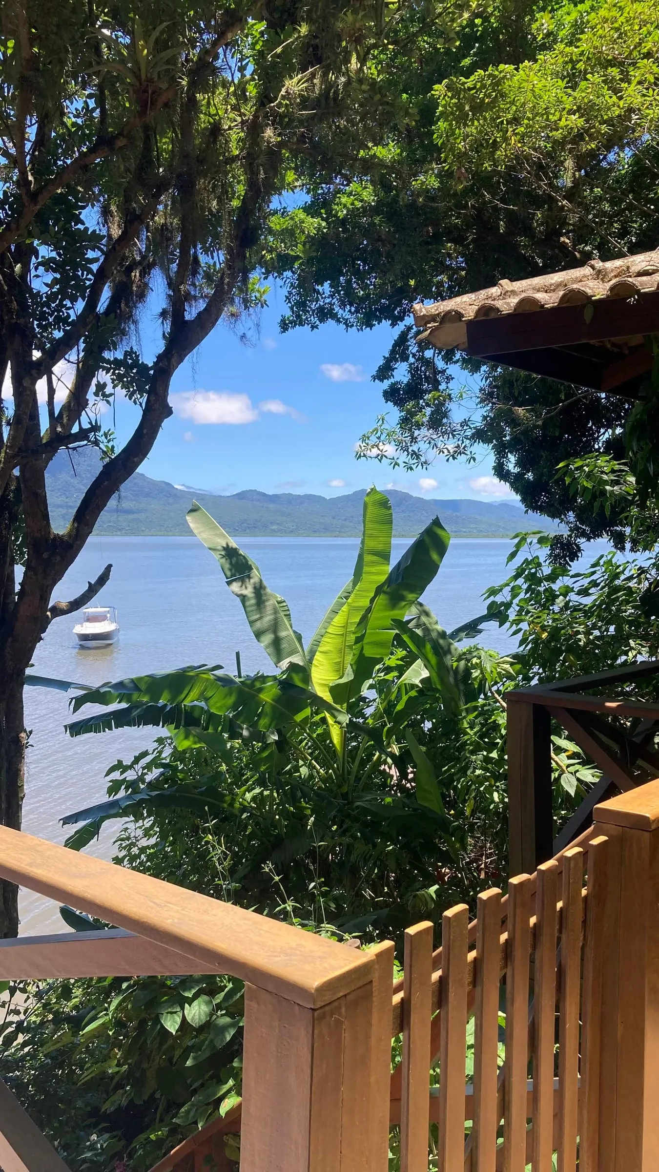 Vista da baía a partir da varanda, com bananeira em primeiro plano